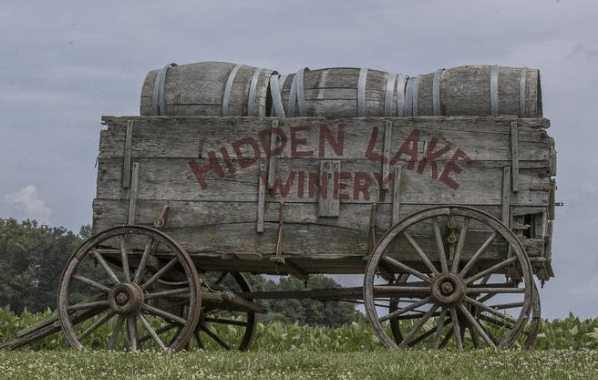 Hidden Lake Winery (Got Wine)